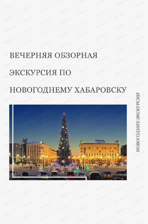 Вечерняя обзорная экскурсия по новогоднему Хабаровску