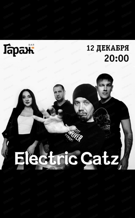 Группа Electric Catz