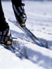 Чемпионат и первенство Хабаровского края по лыжным гонкам