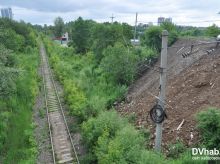 Питомник Хабаровск Официальный Сайт Купить Саженцы